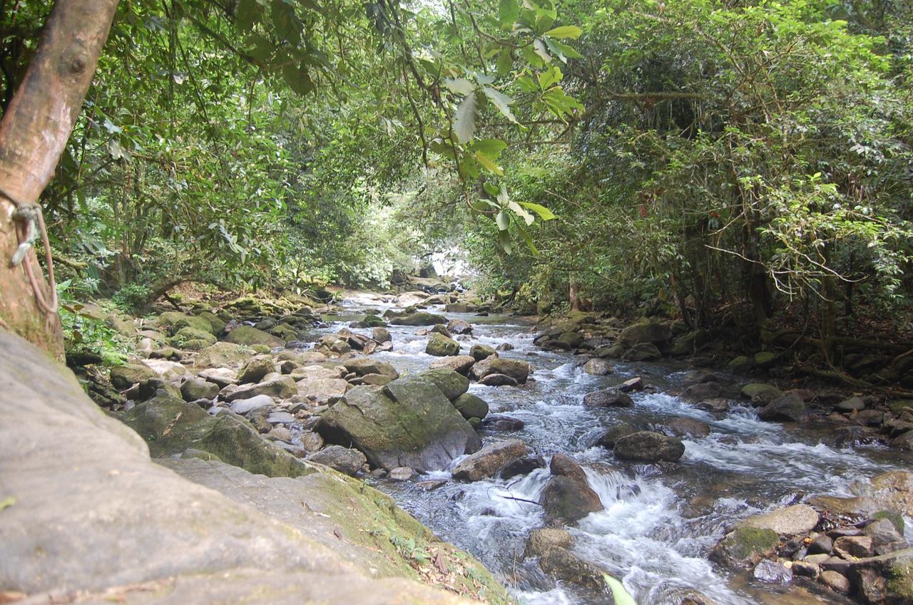 Pousada Portal Do Cacau-Petfriendly Камбури Экстерьер фото