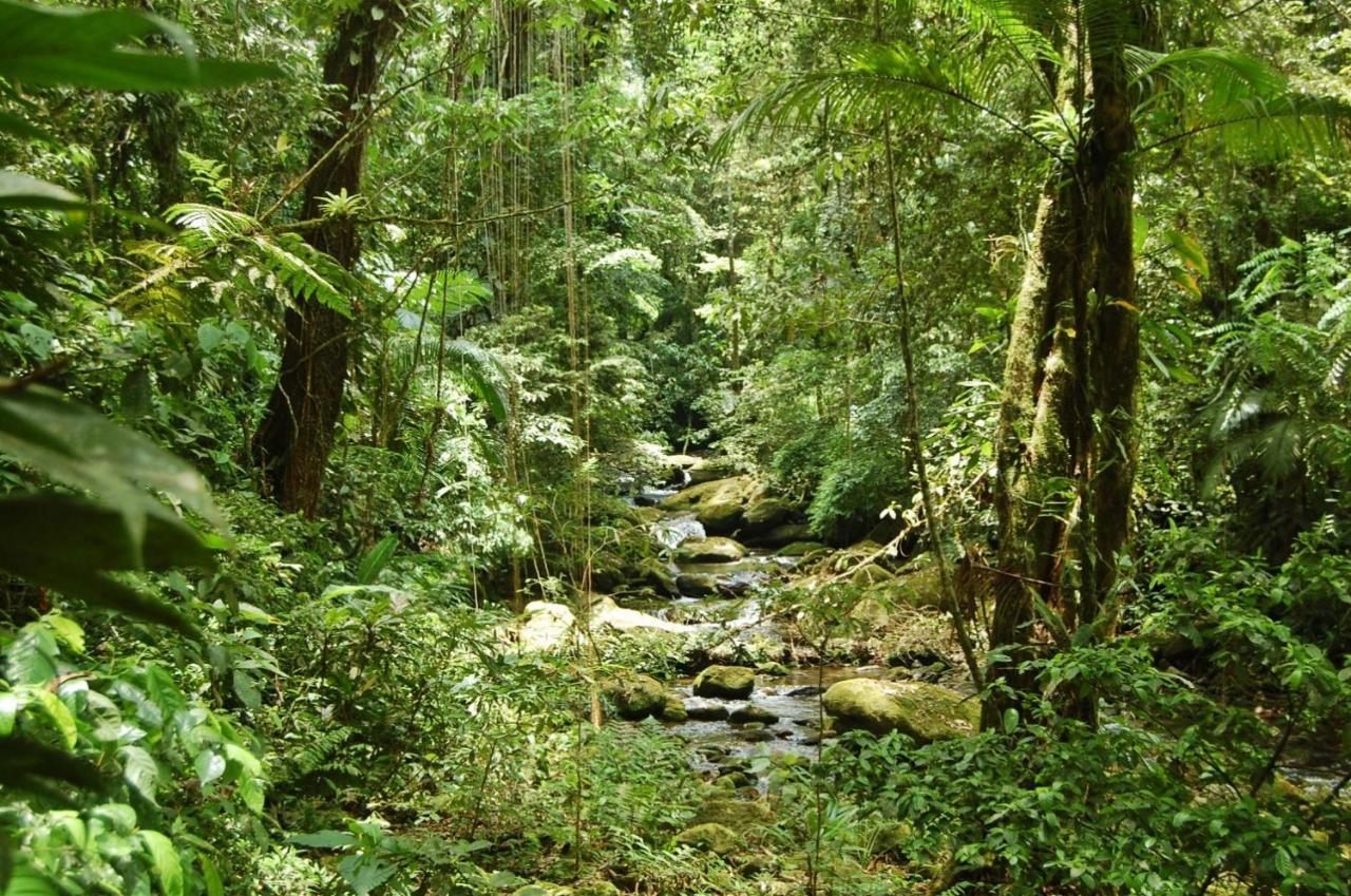 Pousada Portal Do Cacau-Petfriendly Камбури Экстерьер фото